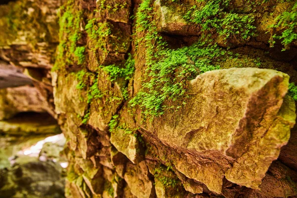 Пещерные скалы покрыты мхом — стоковое фото