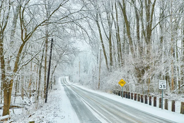 Camino a través de camino de invierno con árboles cubiertos de nieve —  Fotos de Stock
