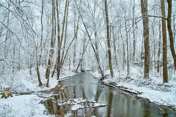 Río en el bosque de invierno cubierto de nieve —  Fotos de Stock