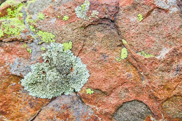 Textura detalle de la superficie de roca roja cubierta de parches de liquen — Foto de Stock