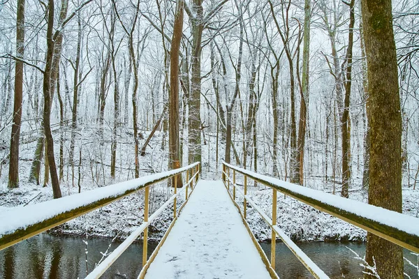 Puente peatonal sobre el río en invierno cubierto de nieve —  Fotos de Stock