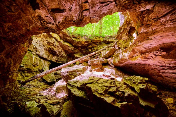 Vista na abertura da caverna com luz da floresta e grandes rochas com tronco de árvore solitário — Fotografia de Stock