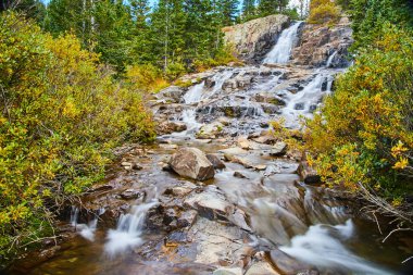 Renkli sarı ve yeşil bitkilerle dolu büyük şelale yamacı