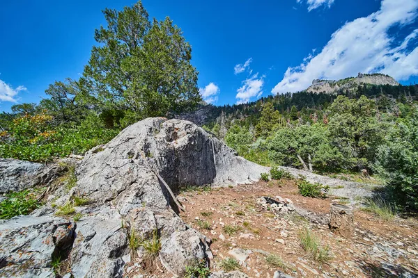 산에 있는 자연스럽고 단순하게 휴식을 취하는 야영지에 통나무 의자와 돌로 된 불이있다 — 스톡 사진