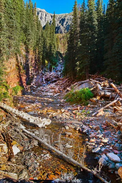 Rivier verwoest door bosbrand en nu gevuld met grote stammen door bergen — Stockfoto