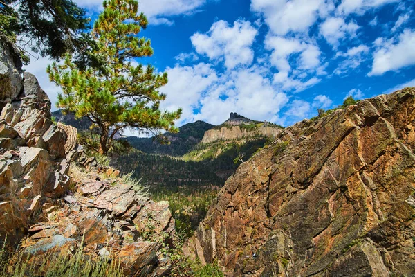 Veduta del profondo canyon accanto al grande pino e pila di massi colorati — Foto Stock