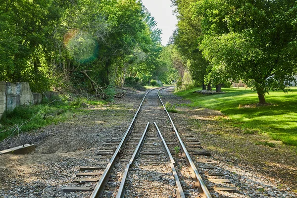 Einfache Eisenbahngleise durch den Wald — Stockfoto