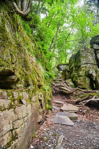 Parede de desfiladeiro com rochas musgosas e árvores verdes vibrantes à distância — Fotografia de Stock
