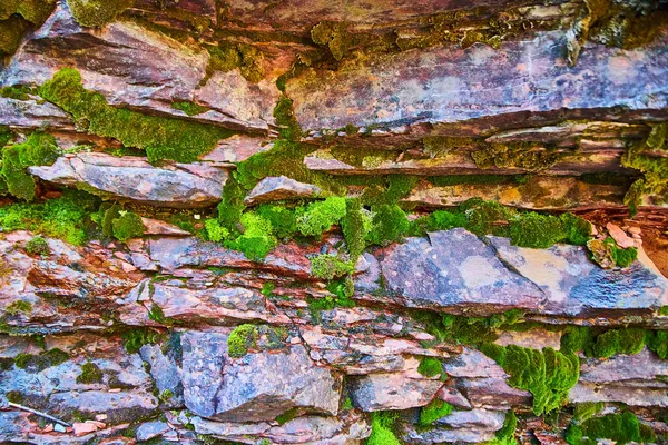 Détail de la paroi rocheuse du canyon avec des roches rouges et des morceaux de mousse — Photo