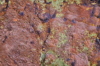 Kırmızıdan kaya duvarının dokusu ve liken parçacıkları