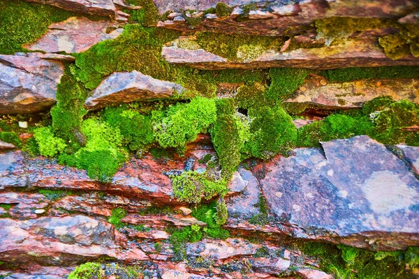 Trozos de musgo y pizarras de detalle de roca roja en la pared del cañón — Foto de Stock