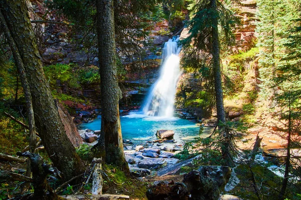 Vista detrás de los árboles de cascada escondida escondida en cañón garganta —  Fotos de Stock