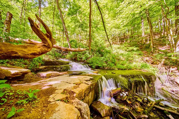 Zbliżenie kaskadowych wodospadów w zielonym lesie — Zdjęcie stockowe