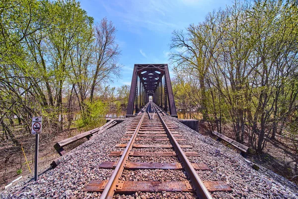 Железнодорожные пути в лесу ведут к большому мосту через воду — стоковое фото