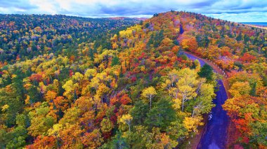 Düşen yapraklar ve ağaçlar, dağda asfalt bir yol ve sağda bir göl var.