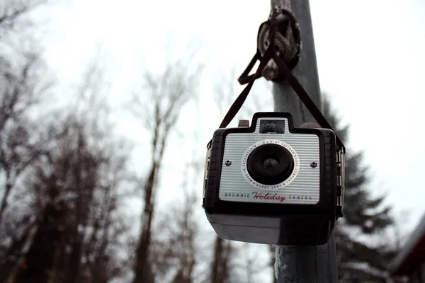 Schwarz-Weiß-Aufnahme einer Brownie Holiday Camera, die im Winter an einer Stange hängt, im Hintergrund große immergrüne und kahle Bäume — Stockfoto