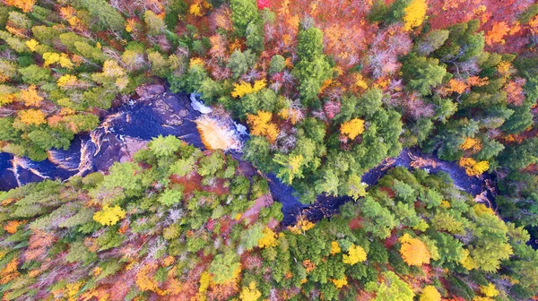 Caduta foresta sparato da un drone con un fiume blu una cascata e rapide d'acqua bianca — Foto Stock