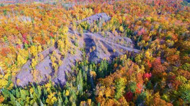 Karanlık bir dağla sonbahar ormanı ve sarı ve turuncu ve kırmızı kavak ağaçları ve yeşil çam ağaçları