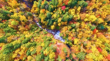 Nehir ve ormanın altında yeşil, turuncu, sarı ve kırmızı ağaçlı bir şelale havası.