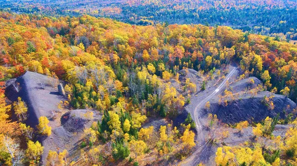Oranssi keltainen ja punainen haapa puita syksyllä metsän vanha tie lähellä kaivos kuilu ja metsä syksyllä — kuvapankkivalokuva
