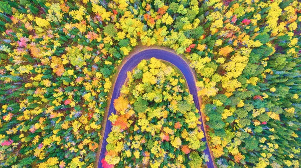 Aérea de un bosque de otoño con verde, rojo, amarillo y un camino de herradura — Foto de Stock