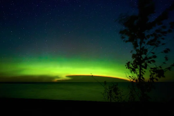 Aurora lights with tornado pattern and tree with leaves silhouette and night sky — Stock Photo, Image