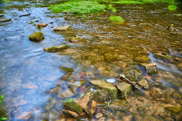 Des plaques de mousse et d'herbe près de petits rochers dans un lit de rivière peu profond — Photo