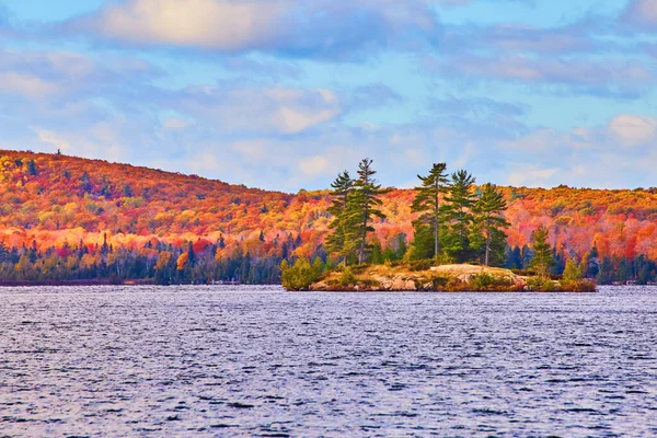 Pequeña isla de pinos en lo alto de una roca con un bosque de otoño detrás de ella y un lago agitado — Foto de Stock