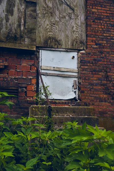 Piante verdi intorno all'edificio abbandonato con porta bianca barricata e mattoni rossi — Foto Stock