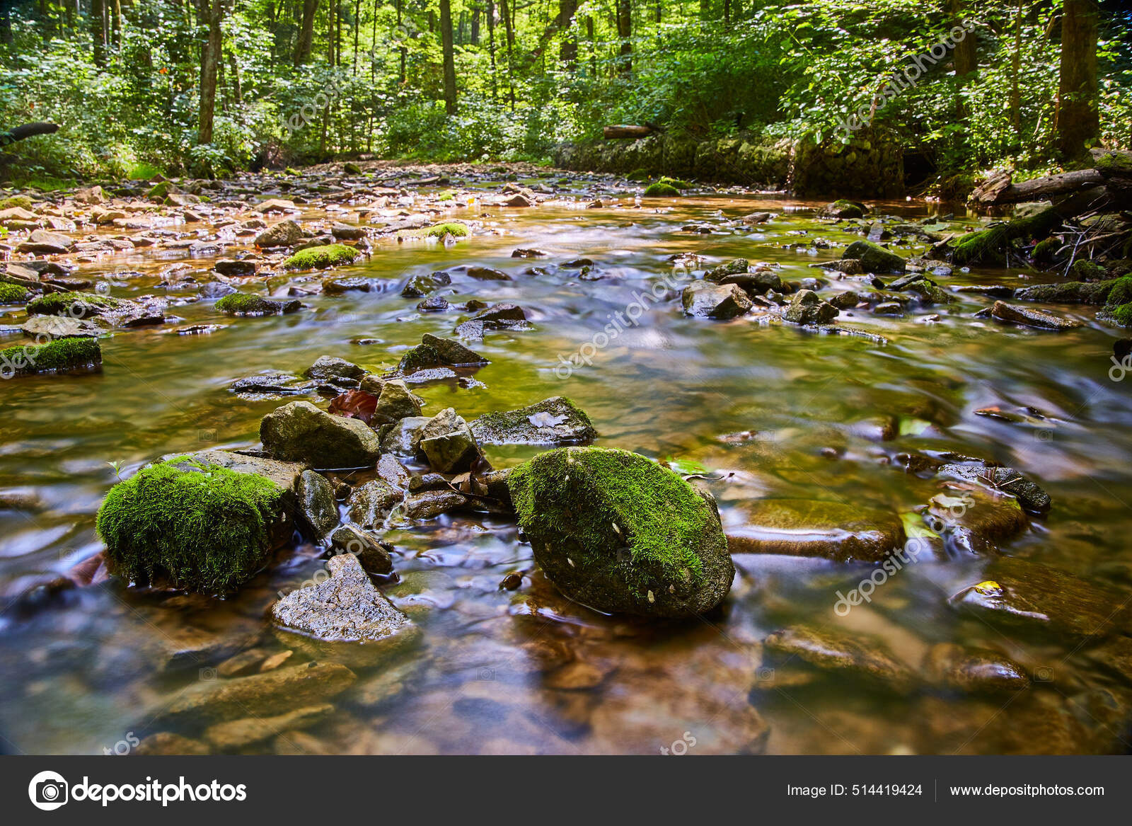 Arroyo o lecho de río poco profundo con rocas y piedras cubiertas de musgo  en un bosque — Foto de stock #514419424 © njproductions, image size:1600x1167
