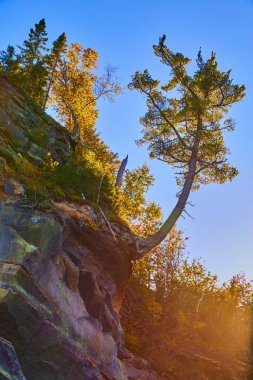 # Kayalık kayalıklarda bir ağaç gövdesi gökyüzünü gösteriyor #