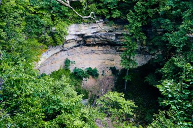 Yeşil ağaçlarla çevrili büyük kuru kanyon manzarası