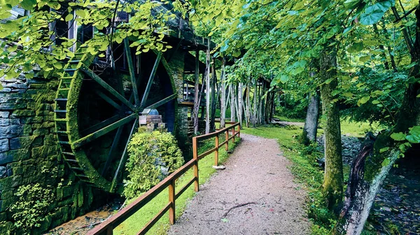 Chemin pédestre par moulin à eau dans la forêt — Photo