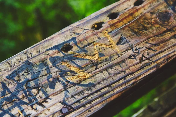 Faragványokkal borított fából készült korlát szerkezete — Stock Fotó