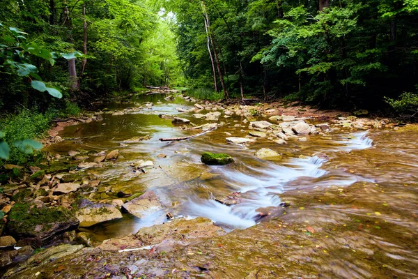 View over peaceful river in the woods — Stock Photo, Image