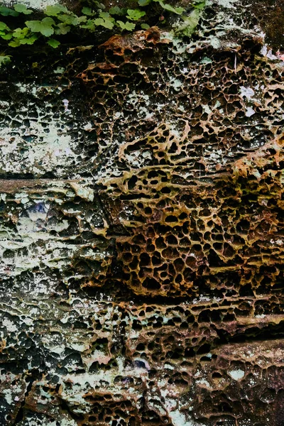 Texture de pierre recouverte de lichen et avec de minuscules trous — Photo