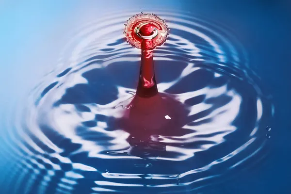 A vörös vízcseppek összeütköznek és hullámokat keltenek a tiszta kék vízben. — Stock Fotó