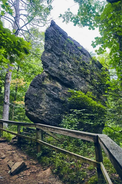 Rocher gigantesque en forêt à côté du sentier avec clôture en bois — Photo