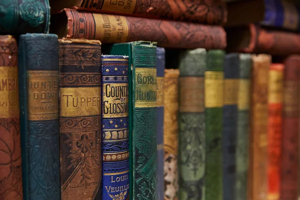 Bücherregal voller lederner Bücher mit Details aus blauem Buch — Stockfoto