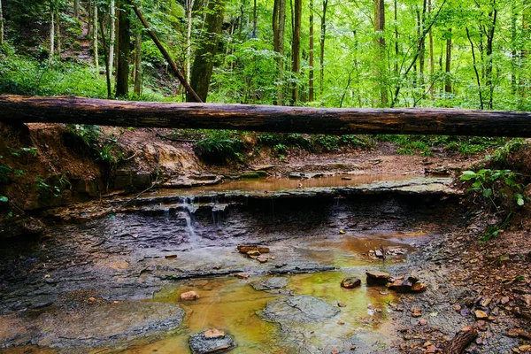 Grande tronco sobre o rio Cliffy marrom — Fotografia de Stock