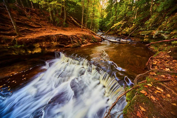 Řeka s padlým polenem a vodopádem s odkrytými kořeny stromů — Stock fotografie