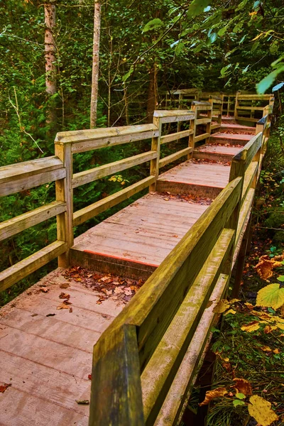 Deep wooden steps and fencing make up a forest trail or path — Stock Photo, Image