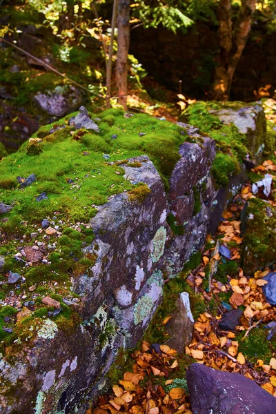 Мох и лишайник покрыты скалой с мелкой галькой на вершине в лесу, засоренном опавшими листьями — стоковое фото