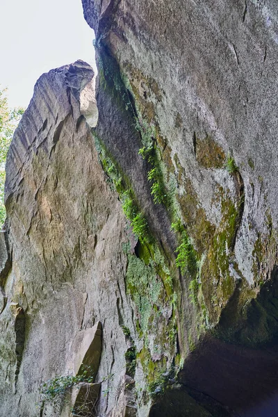 Cliff overhang with bits of moss and lichens growing on it — Stock Photo, Image