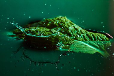 Kısmen su altında kalmış yeşil yaprak ve biraz su.