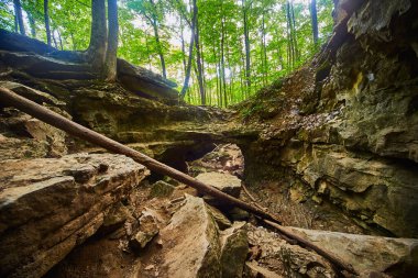 Kayalıkları ve uçurumları olan bir orman içinde küçük bir kanyon.