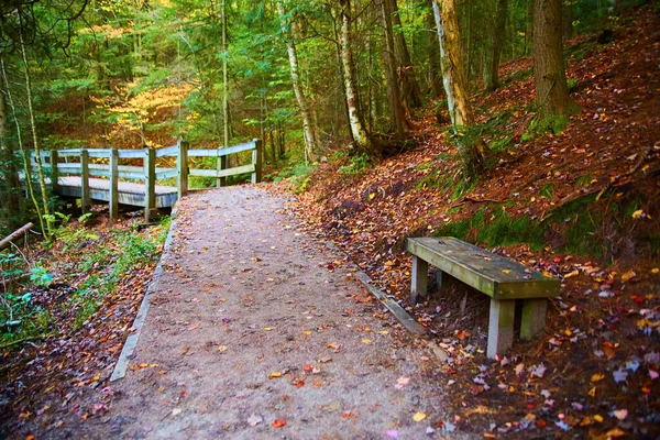 Spazierweg im Wald mit Laub, Bank und Steg in der Ferne — Stockfoto