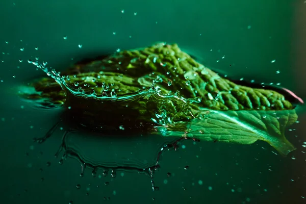 Teilweise untergetauchtes grünes Blatt mit einem Spritzer Wasser — Stockfoto