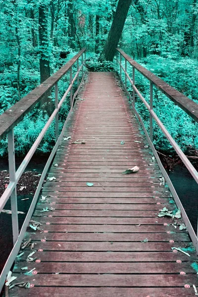 Mystical walkway through a vibrant forest shot in infrared — Stock Photo, Image