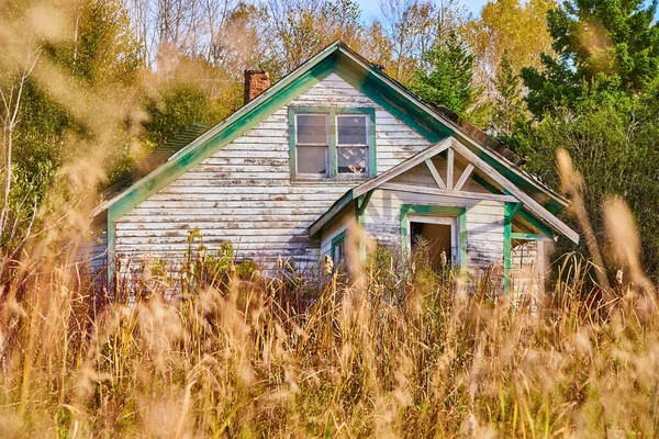 Старый заброшенный дом через поле желтых трав — стоковое фото